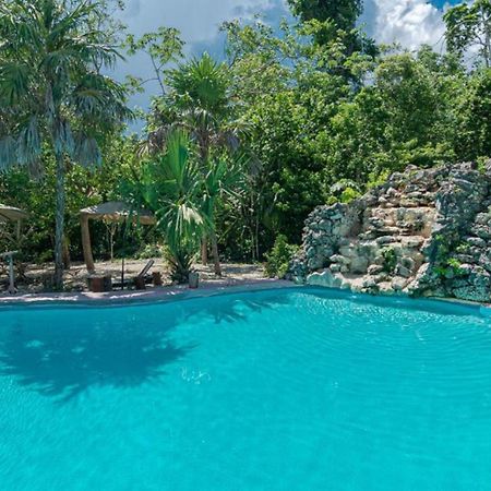 Jolie Jungle Eco Hotel (Adults Only) ลีโอนา วิคาริโอ ภายนอก รูปภาพ