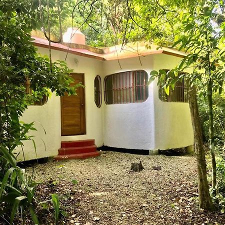 Jolie Jungle Eco Hotel (Adults Only) ลีโอนา วิคาริโอ ภายนอก รูปภาพ