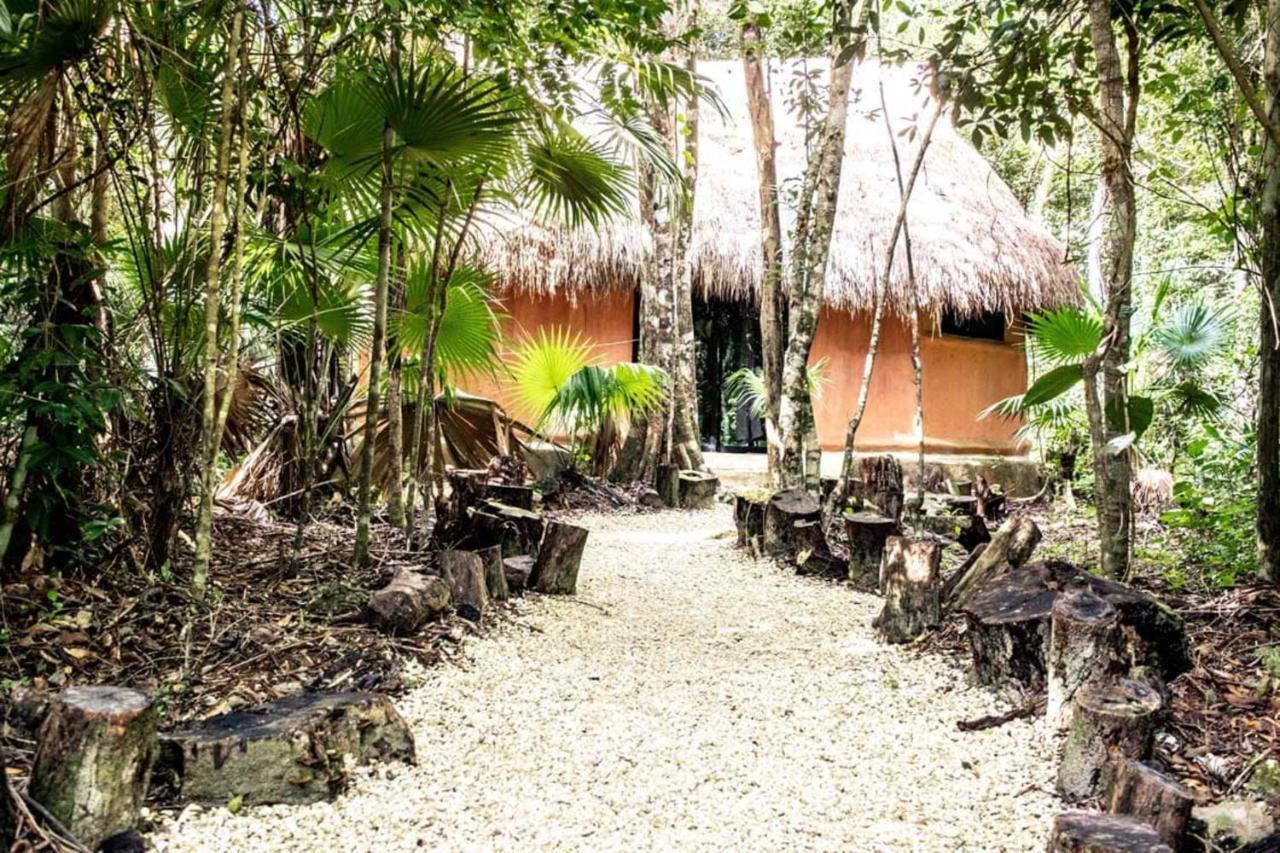 Jolie Jungle Eco Hotel (Adults Only) ลีโอนา วิคาริโอ ภายนอก รูปภาพ
