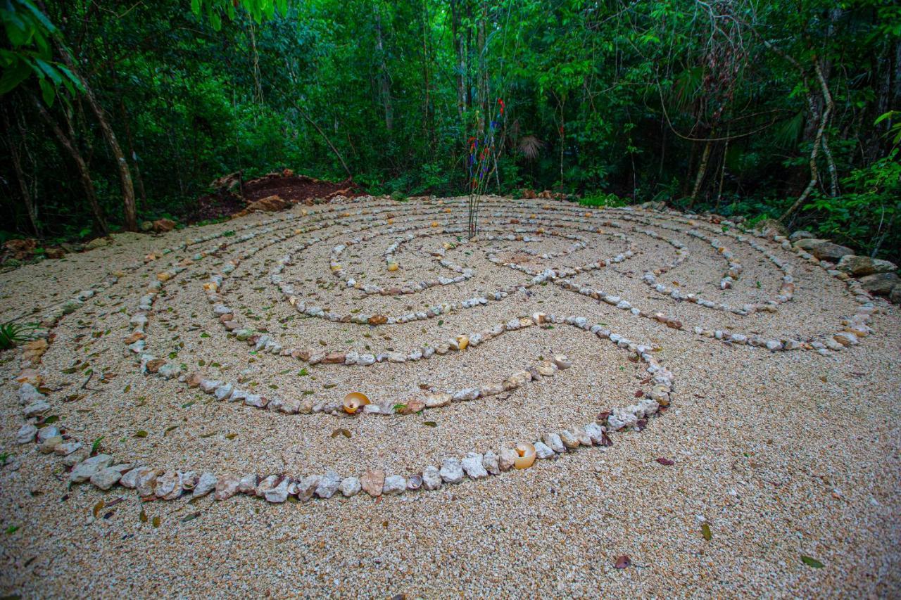 Jolie Jungle Eco Hotel (Adults Only) ลีโอนา วิคาริโอ ภายนอก รูปภาพ
