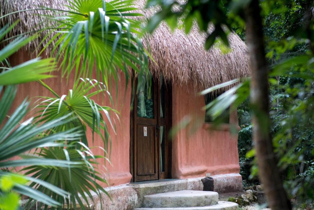 Jolie Jungle Eco Hotel (Adults Only) ลีโอนา วิคาริโอ ภายนอก รูปภาพ