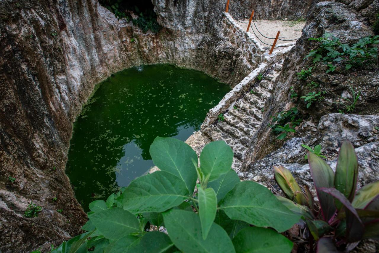 Jolie Jungle Eco Hotel (Adults Only) ลีโอนา วิคาริโอ ภายนอก รูปภาพ