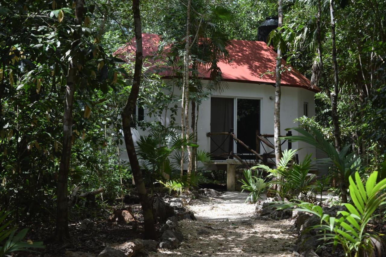 Jolie Jungle Eco Hotel (Adults Only) ลีโอนา วิคาริโอ ภายนอก รูปภาพ