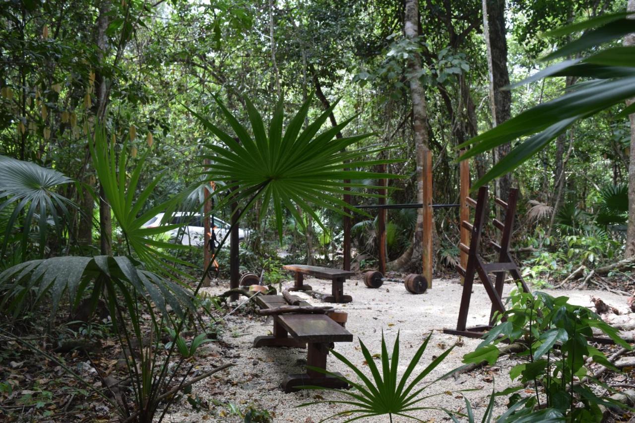 Jolie Jungle Eco Hotel (Adults Only) ลีโอนา วิคาริโอ ภายนอก รูปภาพ