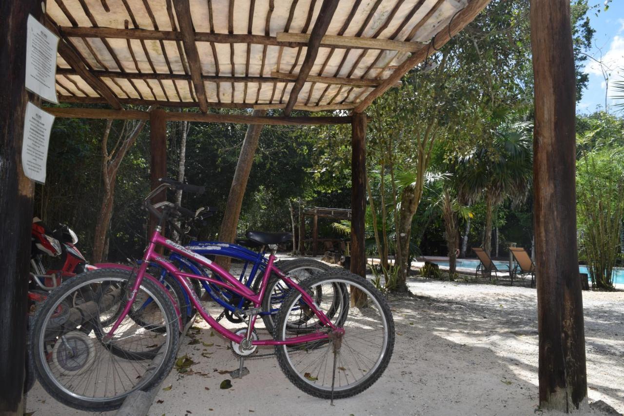 Jolie Jungle Eco Hotel (Adults Only) ลีโอนา วิคาริโอ ภายนอก รูปภาพ