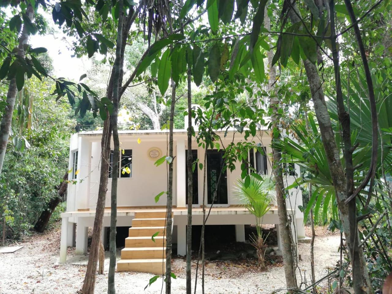 Jolie Jungle Eco Hotel (Adults Only) ลีโอนา วิคาริโอ ภายนอก รูปภาพ