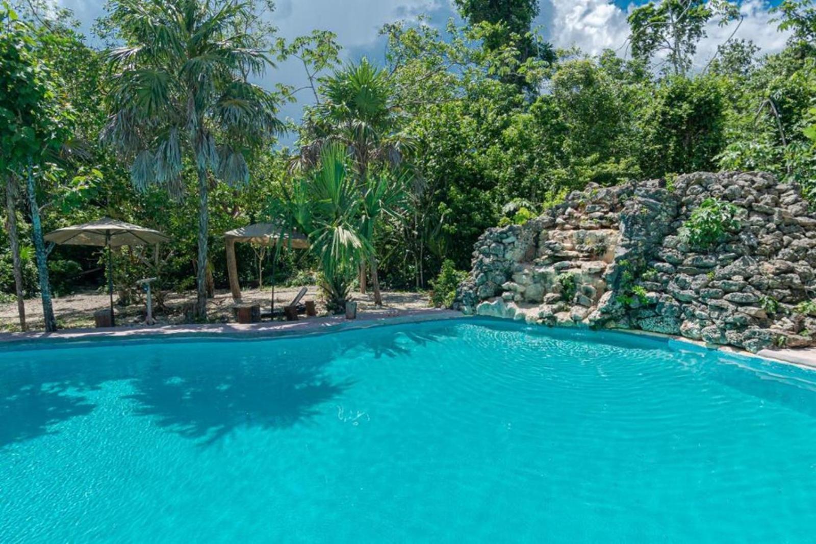 Jolie Jungle Eco Hotel (Adults Only) ลีโอนา วิคาริโอ ภายนอก รูปภาพ