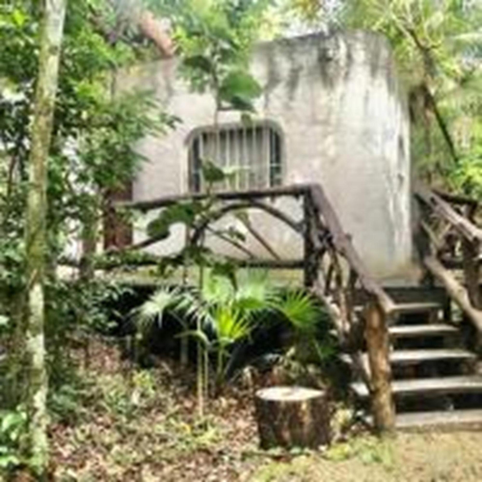 Jolie Jungle Eco Hotel (Adults Only) ลีโอนา วิคาริโอ ภายนอก รูปภาพ