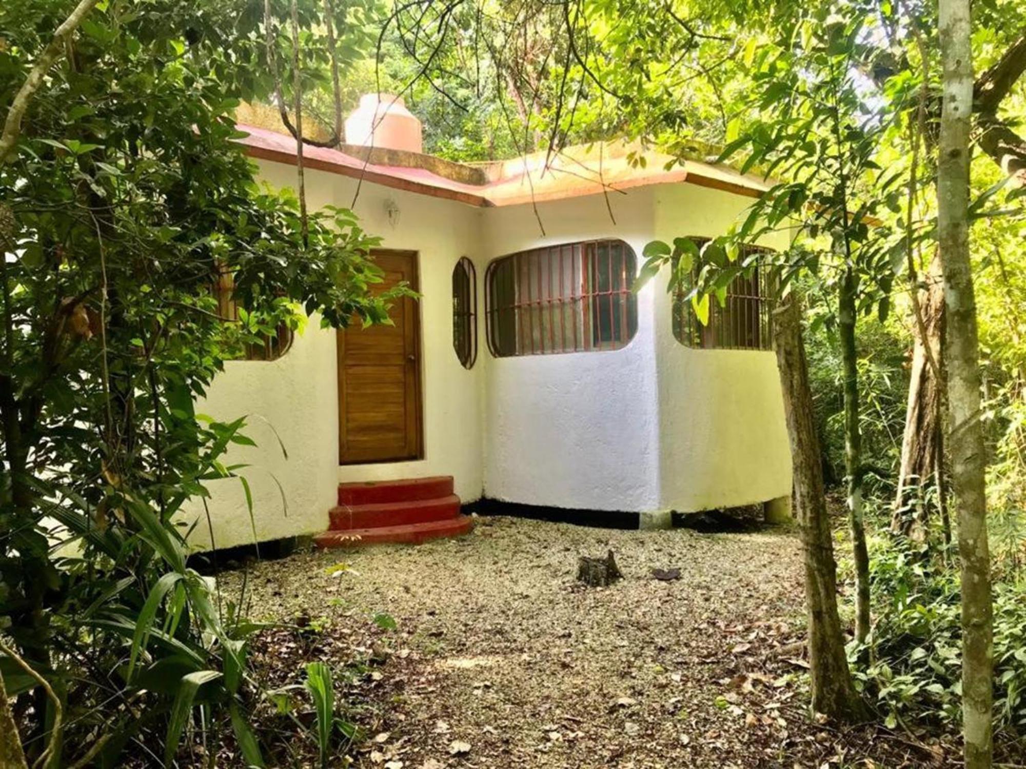 Jolie Jungle Eco Hotel (Adults Only) ลีโอนา วิคาริโอ ภายนอก รูปภาพ